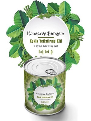 Ecoport Jasmine Glow® Konserve Bahçem Evde Konservede Kekik Dağ Kekiği Yetiştirme Kiti