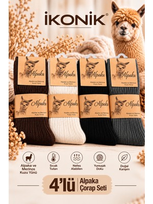 İkonik Socks Kadın Alpaka Yünlü Kışlık Soket Çorap 4'lü Paket