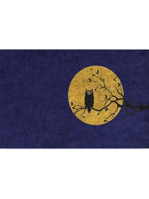 Happy Trend Tasarımlı Dekoratif Kapı Önü Paspas, Dış Mekan/ev Içi/banyo/mutfak/yatak Odası/giriş Paspasları (Baykuş Mavi, 45X70)