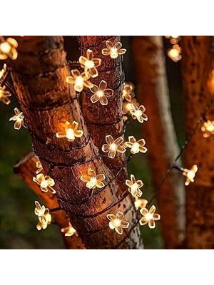 Happy Trend 5 Metre 50 LED Papatya Gün Işığı – 8 Fonksiyonlu Dekoratif Işık