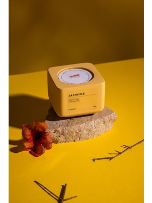 Die Grup Tr %100 Soya Wax Organik Beton Mum & Saksı - Jasmine