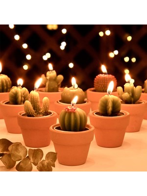 Die Grup Tr 12 Adet Kaktüs Tealight Mumlar Gelin Partisi Hediyeleri Boho Meksika Parti Dekorasyonları Sukulent Mum Mini Çay Işığı Bebek Duşu Hediyeleri Yenilik Fiesta Teraryum Bitki Mumları Toplu
