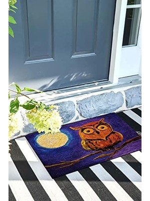 Toptan Budur Baykuş Kapı Önü Paspası Dekoratif Kapı Paspası Dış Mekân Paspas Ev Içi Paspası 45X70 cm