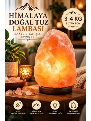 Hace Bazaar Himalaya 3-4 kg Doğal Kaya Tuzu Lambası Ahşap Kaideli Dekoratif Ortam Lambası