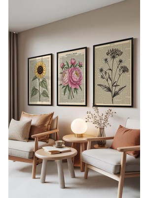 Zestia Siyah Çerçeveli 3'lü Tablo Seti, Vintage Gazete Çiçek Buketi Çizimi, Salon Set No: 30213