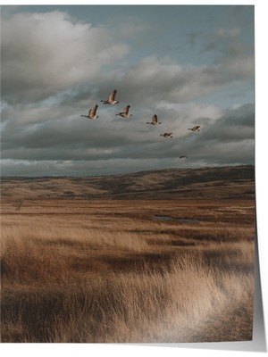 Zestia Vintage Duvar Posteri, Uçan Kuşlar ve Bozkır Poster No: 20169