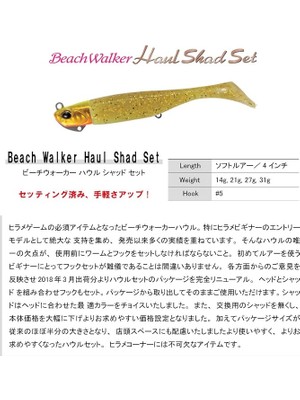 Beach Walker Haul Set 31GR AOA0026 Sparkling Red Gold Suni Yem