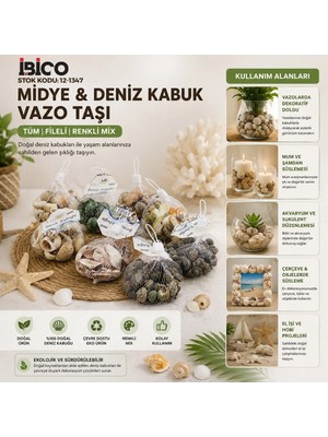 Milas Toptan mt 20 Adet Fileli Renkli Mix Eko Midye - Deniz Kabuk Vazo Taşı