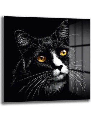 GLAZELLA Büyüleyici Bakışlar: Siyah Kedi Cam Tablo