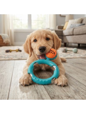 Ttt Halatlı Disk Köpek Isırma Oyuncağı - Mama Ödüllü Mekanizma