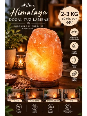 Dolozena Himalaya 2-3 kg Doğal Kaya Tuzu Lambası Ahşap Kaideli Dekoratif Ortam Lambası