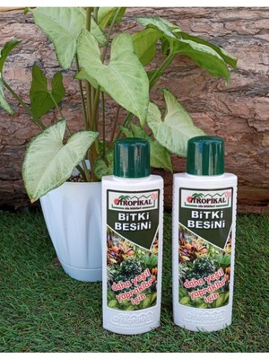 Tr Bitki Besini 2 Adet 225 ml Yeşil Yapraklı Bitkiler Için Sıvı Gübre Vitamini Benjamin