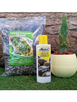 Tr Kaktüs Besini 2'li Set, 225 ml Sıvı Gübre + 3 Lt Kaktüs Sukulent Toprağı