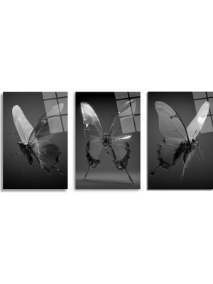 GLAZELLA Transparan Kelebekler Üçlü Modern Cam Tablo Seti Üçlü Set