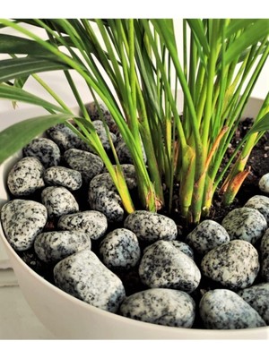 Tr Granit Benekli Dolomit Taş 15 kg 2-4 cm Benekli Dolomit Dere Taşı Çakıl Taşı Bahçe Taşı