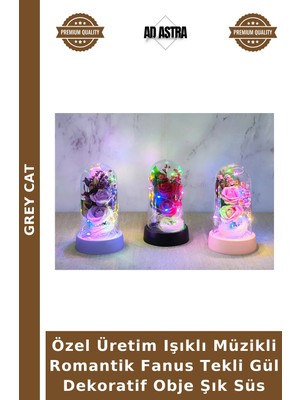 Grey Cat Özel Üretim Işıklı Müzikli Romantik Fanus Tekli Gül Dekoratif Obje Şık Süs