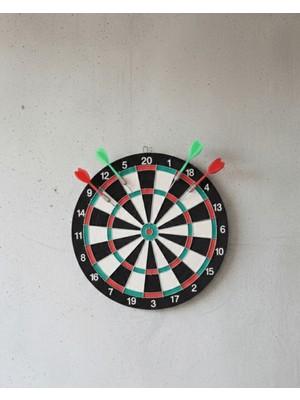 Astraltech 17 Inç Profesyonel Dart Tahtası Dayanıklı Yapı ve 4 Metal Dart Oku