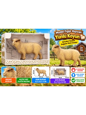 Marka Kolik Kutulu Model Figür Hayvan Yünlü Koyun