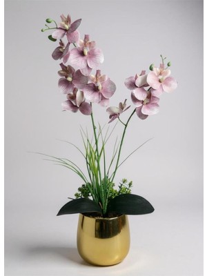 TemmuzX Yapay Orkide, Pudra Pembe, Gold Metal Saksı, 50 cm