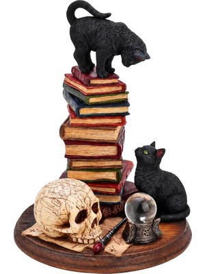 Rakun Home Mistik Büyücü Kediler Biblosu – Feline Scholars