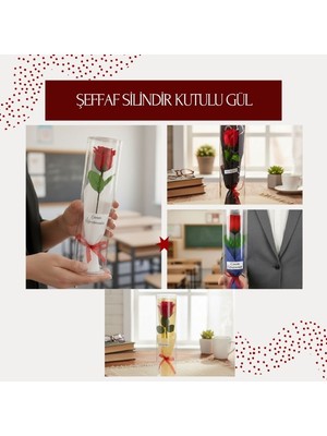 Şeffaf Silindir Kutulu Gül - Öğretmenler Günü Hediyesi  Midastech