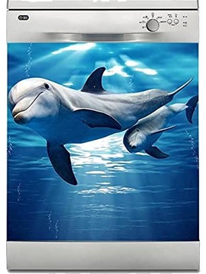 Die Grup Bulaşık Makinesi Sticker Kaplama Beyaz Eşya Kaplama Yunus