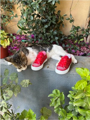 Scarpe Magiche Kırmızı Bağcıklı Kız Ayakkabısı (31-35 Numara Arası Işıksızdır )