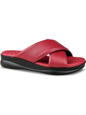 Ceyo 9975-3 (35-41) Zenne