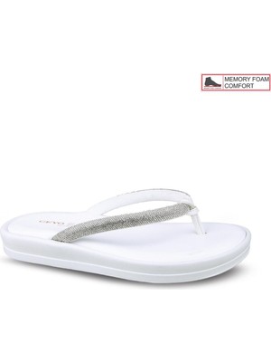 Ceyo 9986-7 (35-41) Zenne