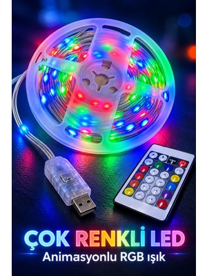 DS LLC Uzaktan Kumandalı Çok Renkli LED Tel 10 Metre