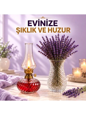 Plant-Home Vintage Gaz Lambası ve Cam Vazo Gerçek Kuru Lavanta Seti – Dekoratif Ev Salon Konsol Raf Süsü Hediyelik 3'lü Set