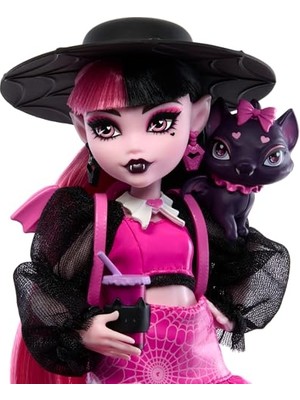 Velora Monster High Acayip Havalı Arkadaşlar - Draculaura Evcil Hayvanı Kont Fabulous ve Aksesuarlarıyla Monster High Acayip Havalı Arkadaşlar - Draculaura HRP64