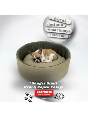 Velora Xpermate Kedi ve Köpek Yatağı Küçük Irk Köpek Yuvası Sünger Simit (Bej Antrasit, 45 Cm)