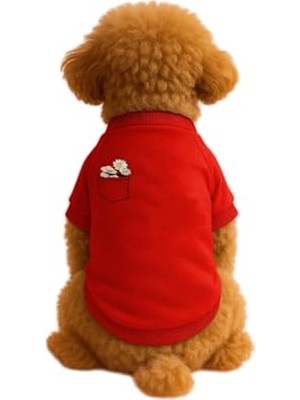 Esplendor Kırmızı Renkli Kedi Sweatshirt, Papatya Cep Detaylı, M
