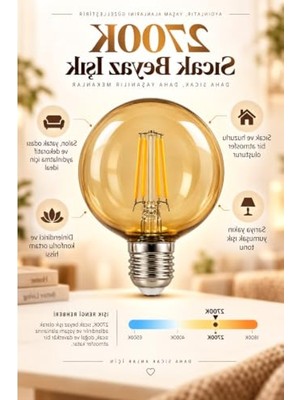 Esplendor Amber LED Ampul, 4W, E27 Dişli, 2700K Gün Işığı, Dimmerli Filament Tasarım