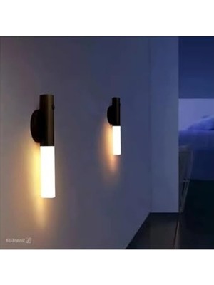 Esplendor Kumru Şarjlı LED Duvar Aplik, Günışığı Modu