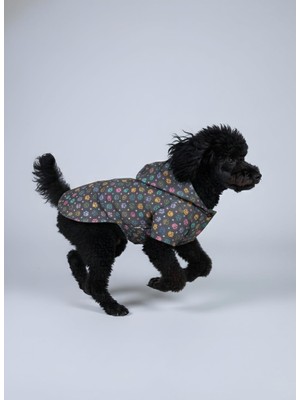Esplendor Mpz Pets Kedi ve Köpek Yağmurluğu Pati Baskılı Fileli, L, Black-Paws-Raincoat, Siyah