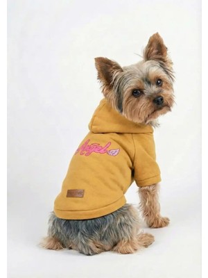 Esplendor Mpz Pets Kedi ve Köpek Kıyafeti Hoodie Angel, M, Yellow-Angel-Hoodie, Sarı