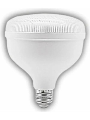 Esplendor Genel Cata Ct 4135 Kristal 35W Torch LED Ampul 6400K Beyaz Işık, XMLBAYILIKCM26998