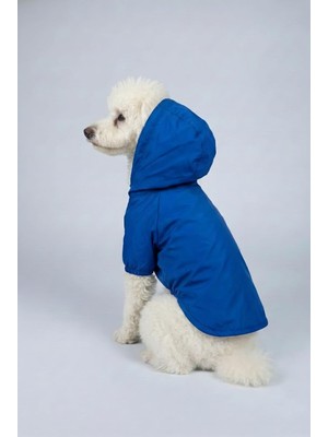 Esplendor Mpz Pets Kedi ve Köpek Saks Fileli Yağmurluk, Xs, Saxblue-Blank-Raincoat, Mavi