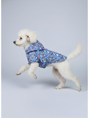 Esplendor Mpz Pets Kedi ve Köpek Baskılı Fileli Yağmurluk, S, Blue-Patterned-Mesh-Raincoat, Mavi