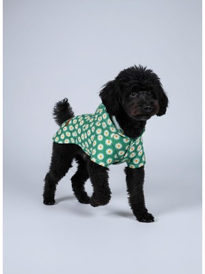 Esplendor Mpz Pets Kedi ve Köpek Papatya Baskılı Fileli Yağmurluk, S, Colorful-Donut-Pattern-Mesh-Raincoat, Mavi