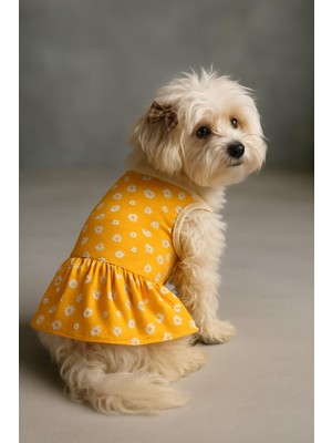 Esplendor Mpz Pets Kedi ve Köpek Kıyafeti Çiçekli Elbise, M, Yellow-Floral-Dress, Sarı