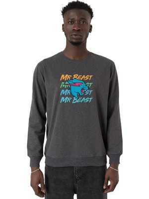 Esplendor Tshirthane Mr Beast Lettern Füme Erkek 2ip Sweatshirt P22845S2769, L