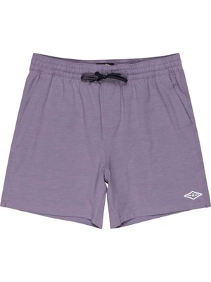 Esplendor Billabong Every Other Day Lb Erkek Mor Volley Short