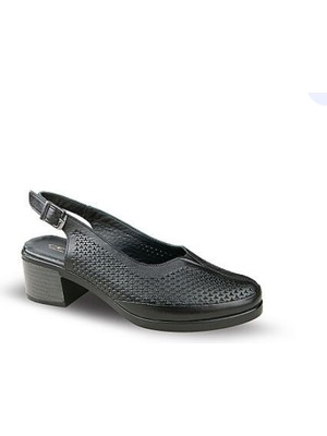 Ceyo 1030 (36-40