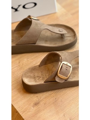 Ceyo Terra (36-41) Zenne