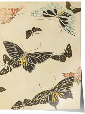 Zestia Ukiyo-E Japon Premium Poster, Antika Japon Kelebekleri Gravürü, No: 20516