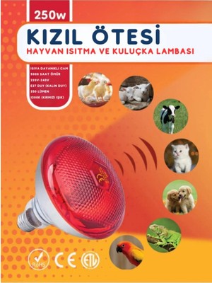 Hace Bazaar 250W Kızılötesi (Infrared) Isıtıcılı Hayvan Isıtma ve Kuluçka Lambası (Kırmızı Işık)