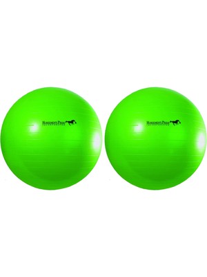StepCo Mega Ball Für Pferde